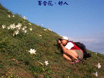 百合花、好人