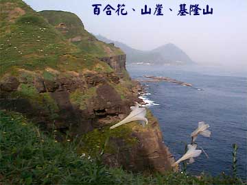 百合花、山崖、基隆山