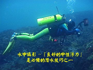 水中攝影~『良好的中性浮力』是必備的潛水技巧之一