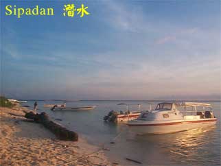 Sipadan 潛水