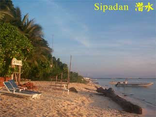 Sipadan 潛水