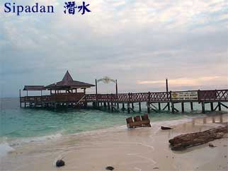 Sipadan 潛水