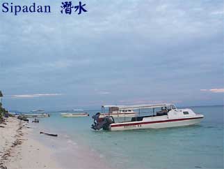 Sipadan 潛水