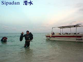 Sipadan 潛水