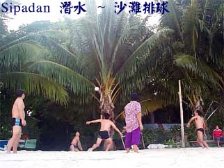 Sipadan 潛水 ~ 沙灘排球