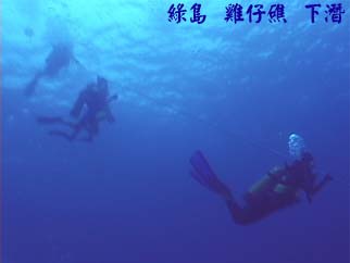 綠島 雞仔礁 下潛
