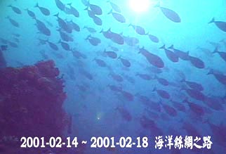 2001-02-14 ~ 2001-02-18  海洋絲綢之路