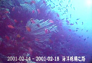 2001-02-14 ~ 2001-02-18  海洋絲綢之路