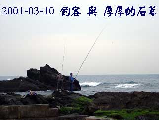2001-03-10 釣客 與 厚厚的石蓴