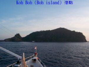 Koh Boh (Boh island) 潛點