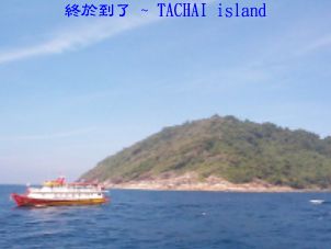 終於到了 ~ TACHAI island