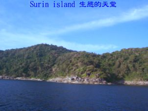 Surin island 生態的天堂